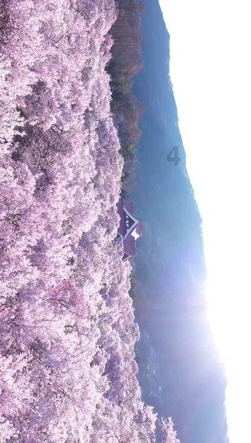 山城区仁和医院新时代文明实践点打造养老服务品牌