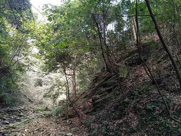 微酸秘密