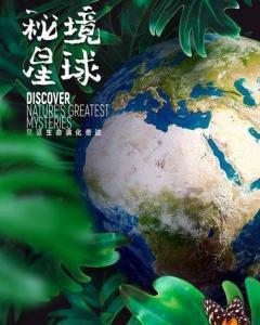 退休干部举报县委书记后被捕，最新通报