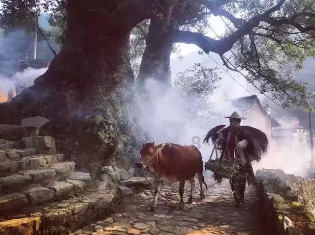 缤纷水果茶无敌版