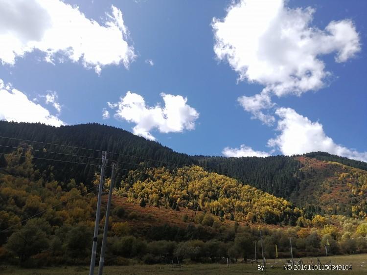 瑜伽到底能不能减肥，看完你就明白了游戏画面