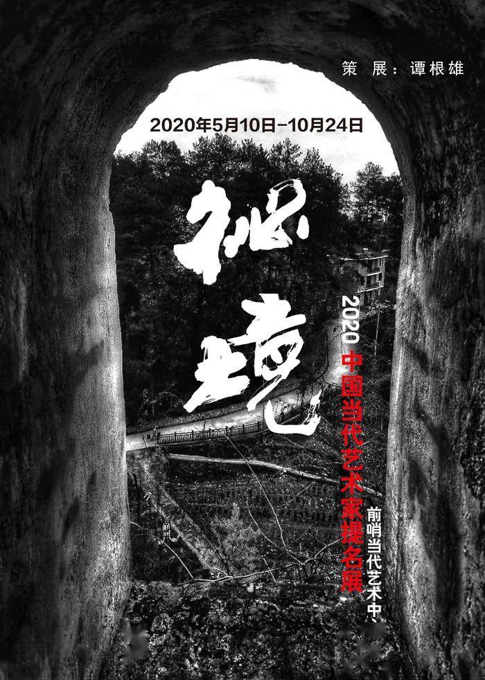 疯狂的小偷