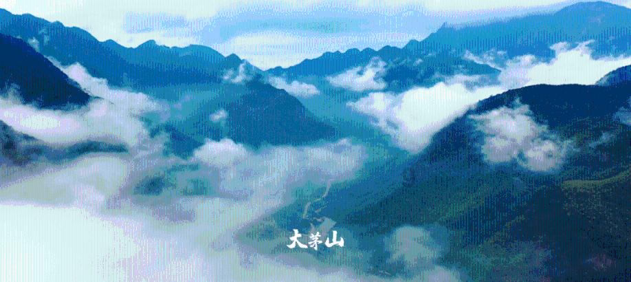 时尚可爱的准妈妈