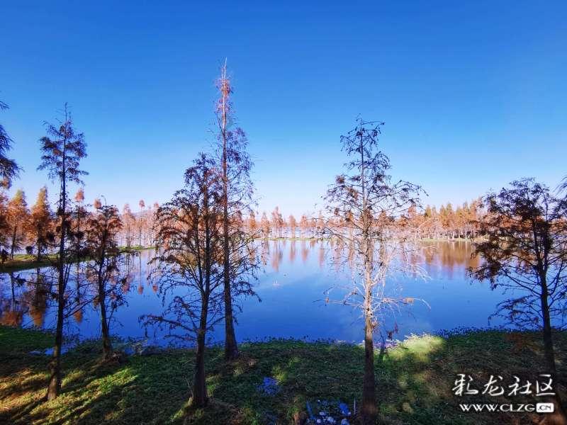 日产“探陆”预售价曝光,配2.0T+9AT,可算良心一回