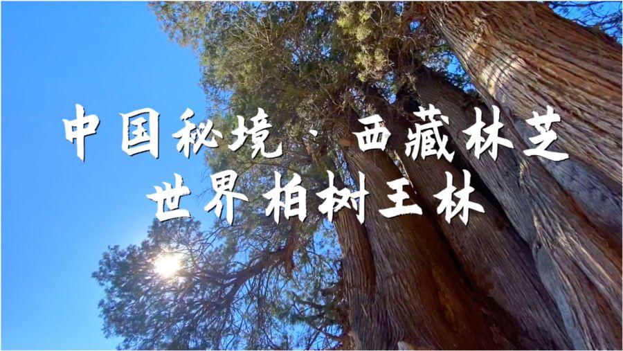 中土世界暗影魔多
