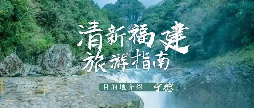 小猫钓鱼游戏龙王版有船