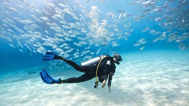 海马汽车于海南投资成立汽车销售新公司