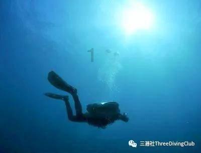 荒野八人组