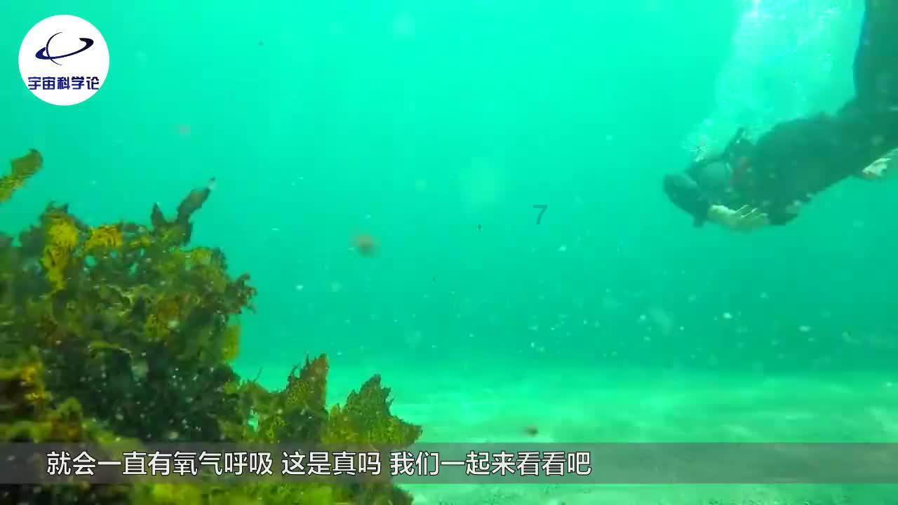 失眠应该怎么办呢？如何治疗失眠呢？你能讲讲吗？游戏画面
