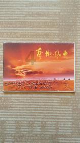 万词王