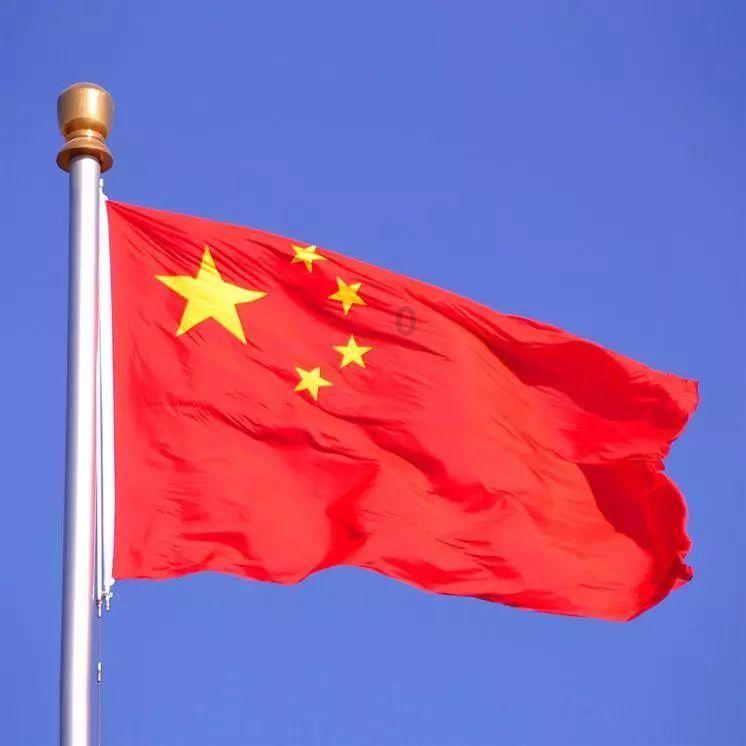 逃离金刚鹦鹉森林