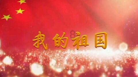 荣耀magic6/pro开启首销,售价4399元起