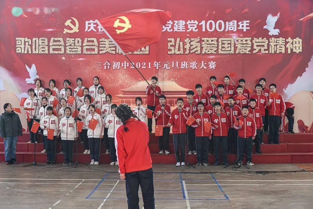 有趣的动物拼图