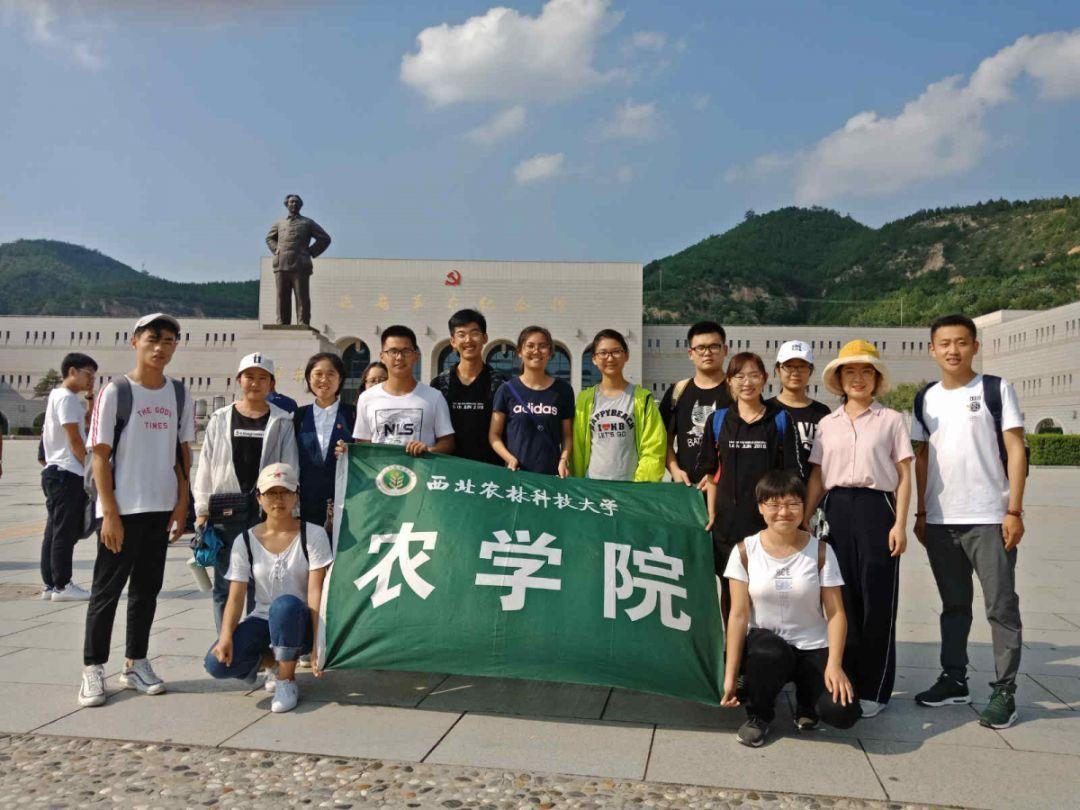 救援萌老虎
