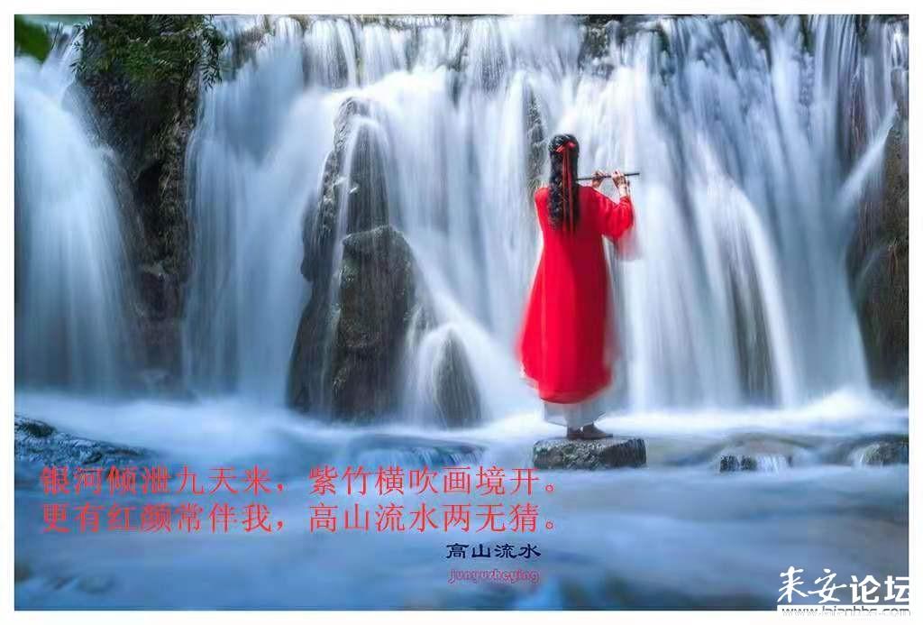 茶杯头