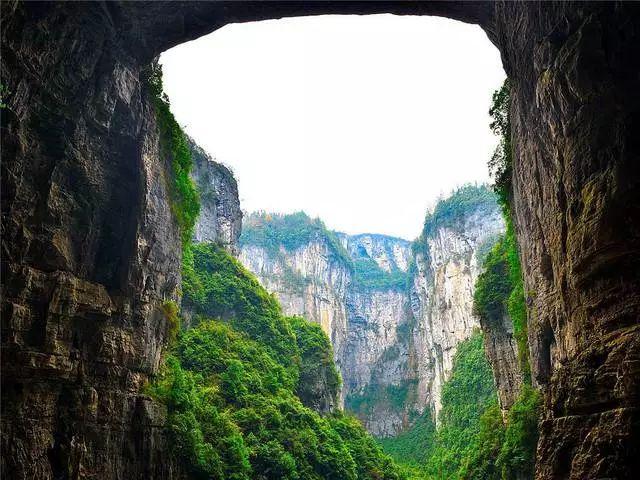 沪江开心词场