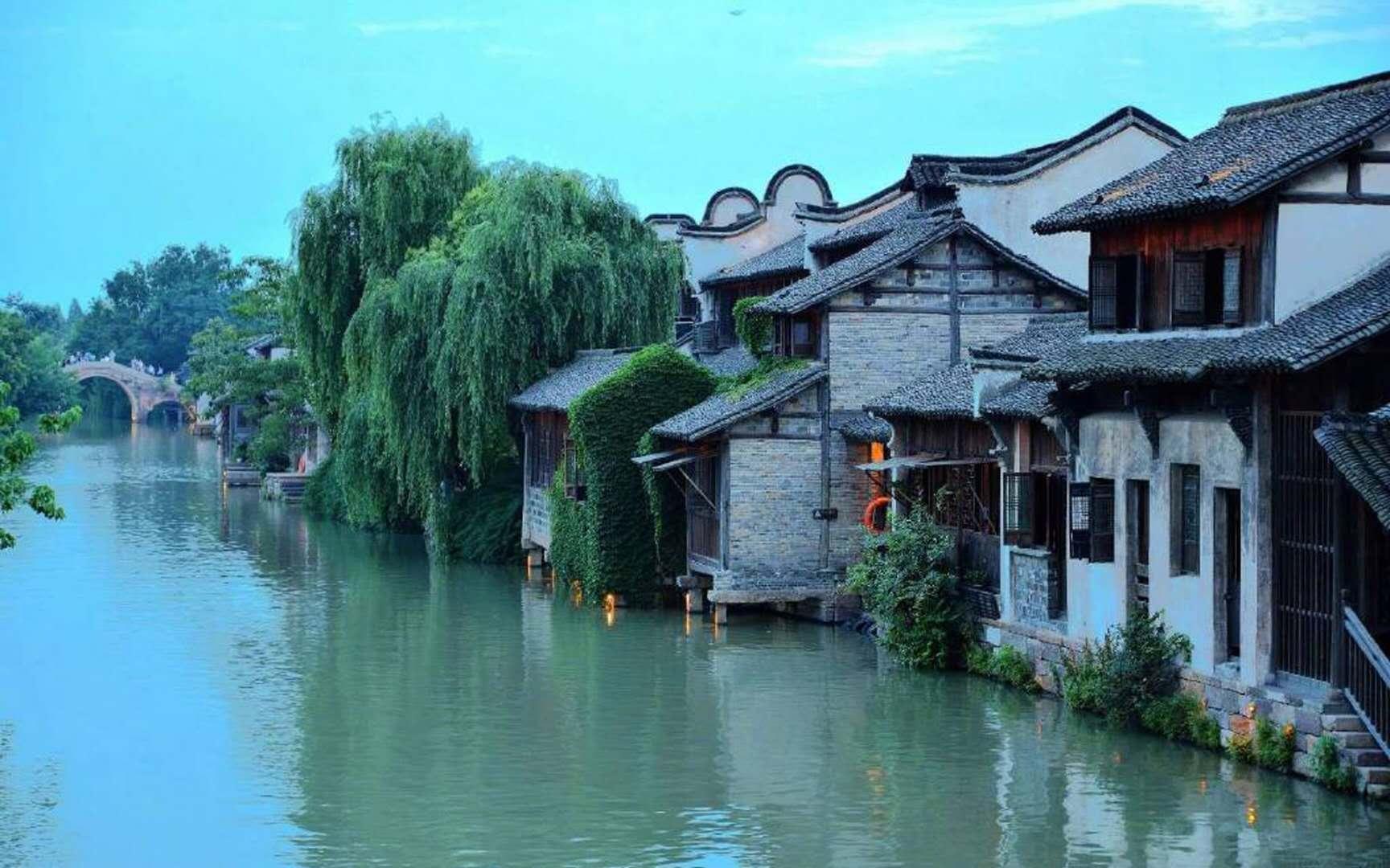 为何菜市场买的了鸡蛋鸭蛋,却买不到鹅蛋?家禽老板甩出3个字