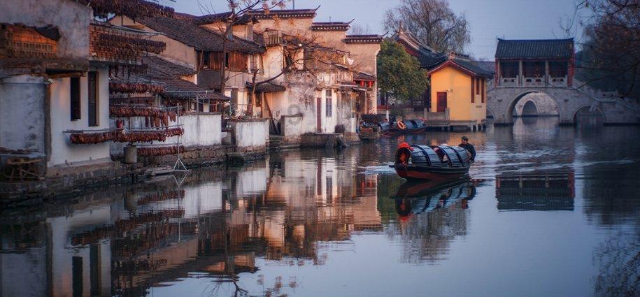 我国明确生物多样性保护“路线图”(新华社)