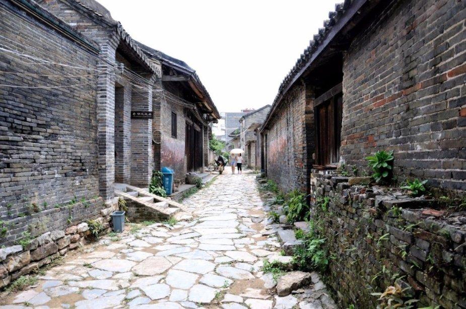 保护地迎新员——绿会猛禽保护地（CCAfa213）正式成立！