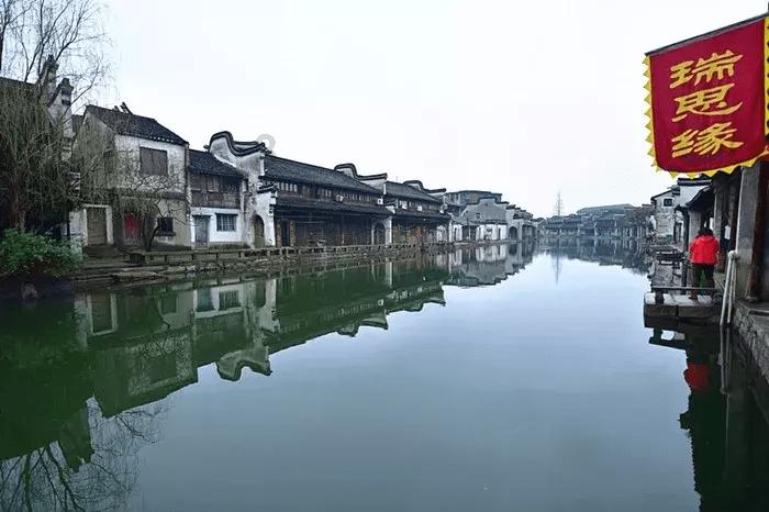 村里路边来了30只野生动物，听说是国家保护动物，是真的吗？游戏画面