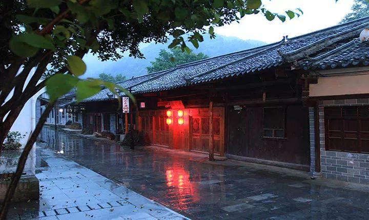 梁冬对话林大栋05:柴胡剂、和解剂与下丘脑