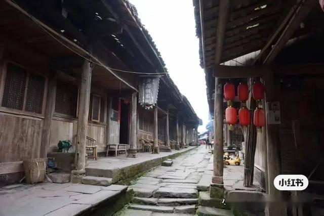 救援受困的萌兔