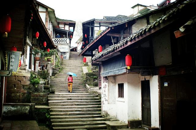 动物帮帮忙保卫家园