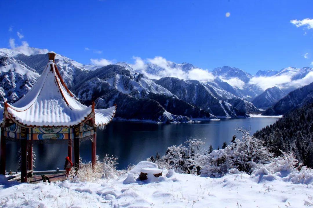 青春礼记
