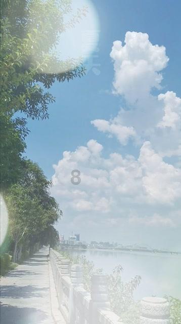 花与剑